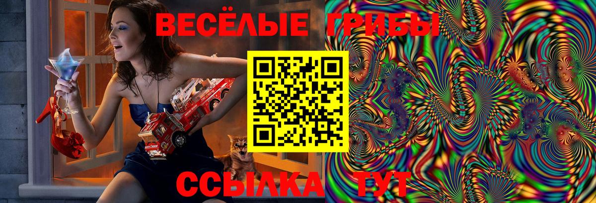 Псилоцибиновые грибы Psilocybe Мытищи